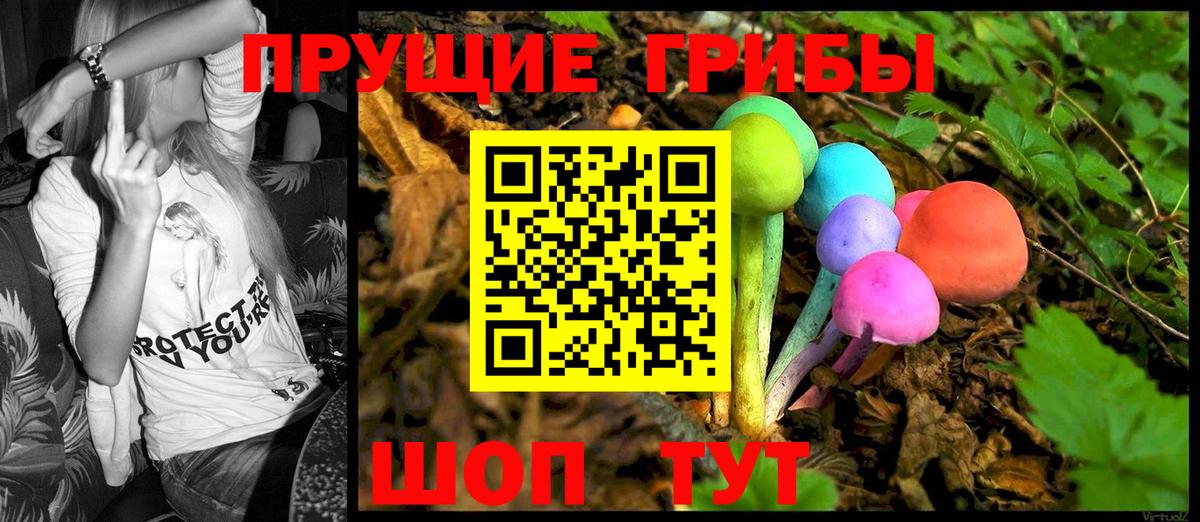 Балашиха  Псилоцибиновые грибы Psilocybine cubensis  Вход с VPN 